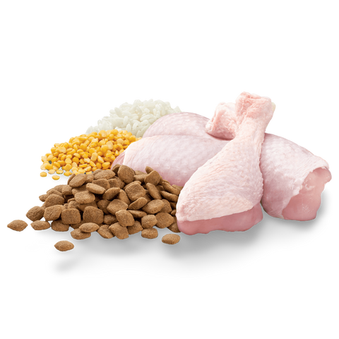 Adult Healthy Weight Dry Dog Food Chicken Vegetables And Rice