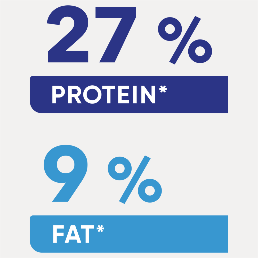 Adult Healthy Weight Dry Dog Food Chicken Vegetables And Rice