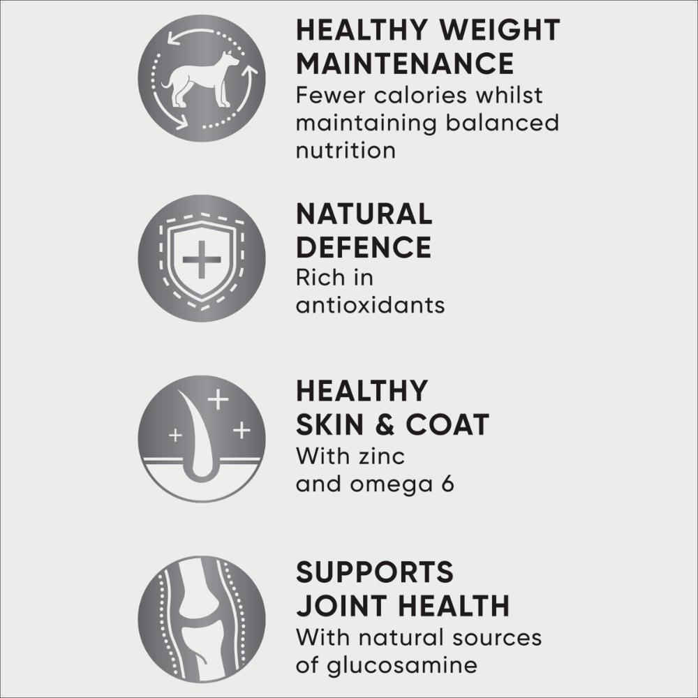 Adult Healthy Weight Dry Dog Food Chicken Vegetables And Rice