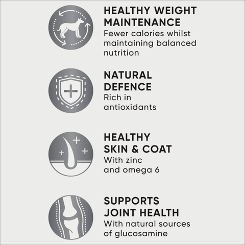 Adult Healthy Weight Dry Dog Food Chicken Vegetables And Rice