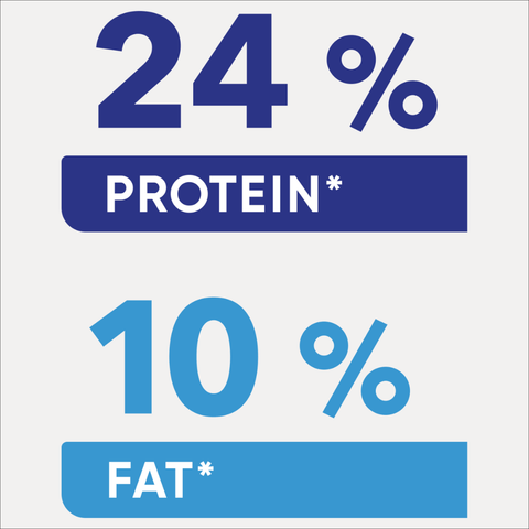 Adult Large Breed Dry Dog Food Chicken Vegetables And Rice