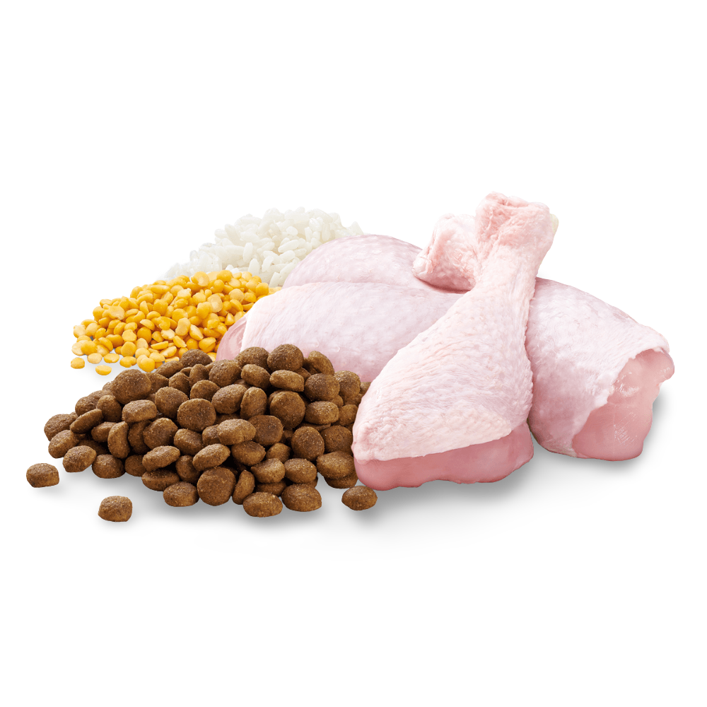 Adult Small Breed Dry Dog Food Chicken Vegetables And Rice