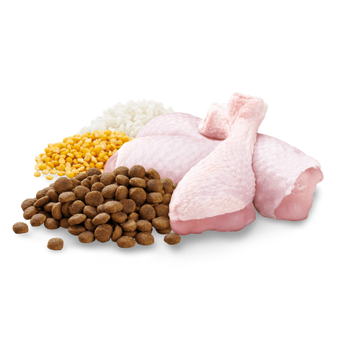 Adult Small Breed Dry Dog Food Chicken Vegetables And Rice