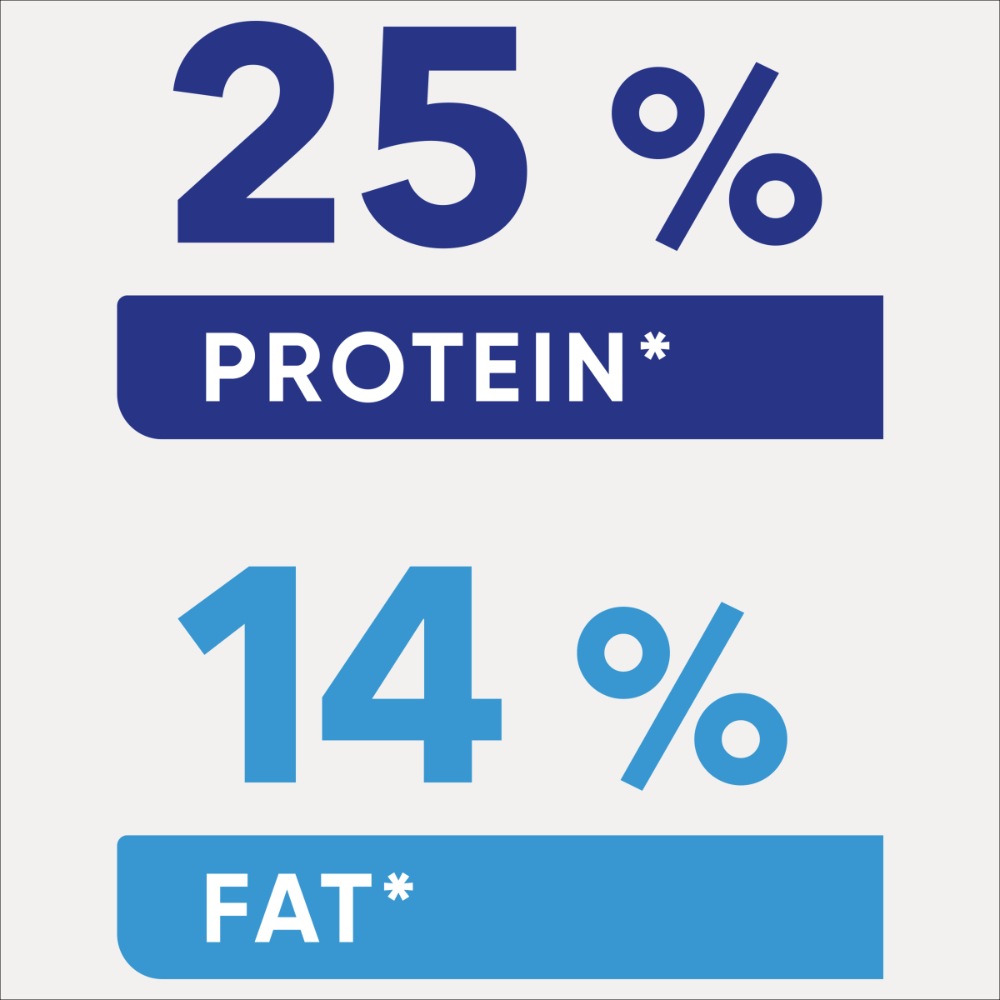 Adult Small Breed Dry Dog Food Chicken Vegetables And Rice