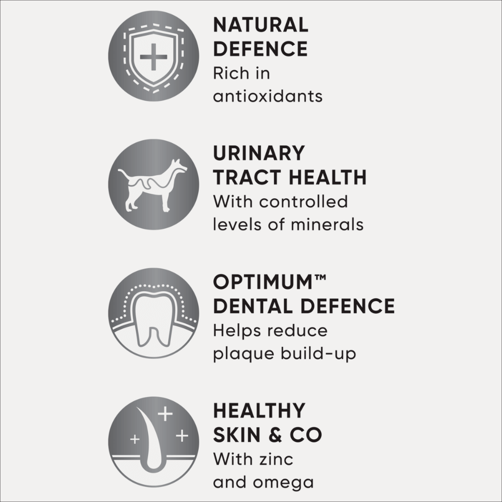 Adult Small Breed Dry Dog Food Chicken Vegetables And Rice