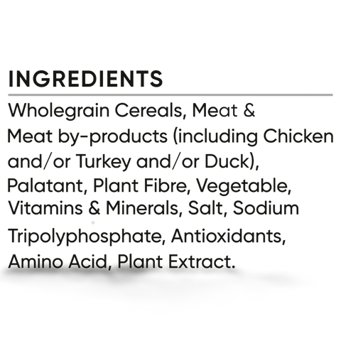 Mature Chicken Veges Rice