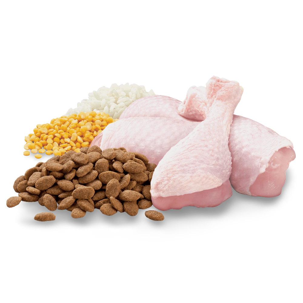 Mature Chicken Veges Rice