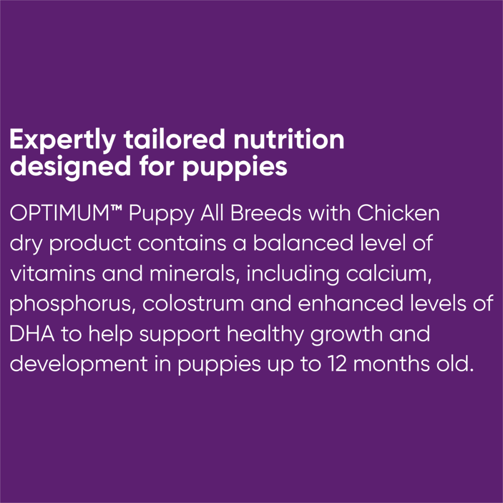 Puppy Dry Dog Food Chicken