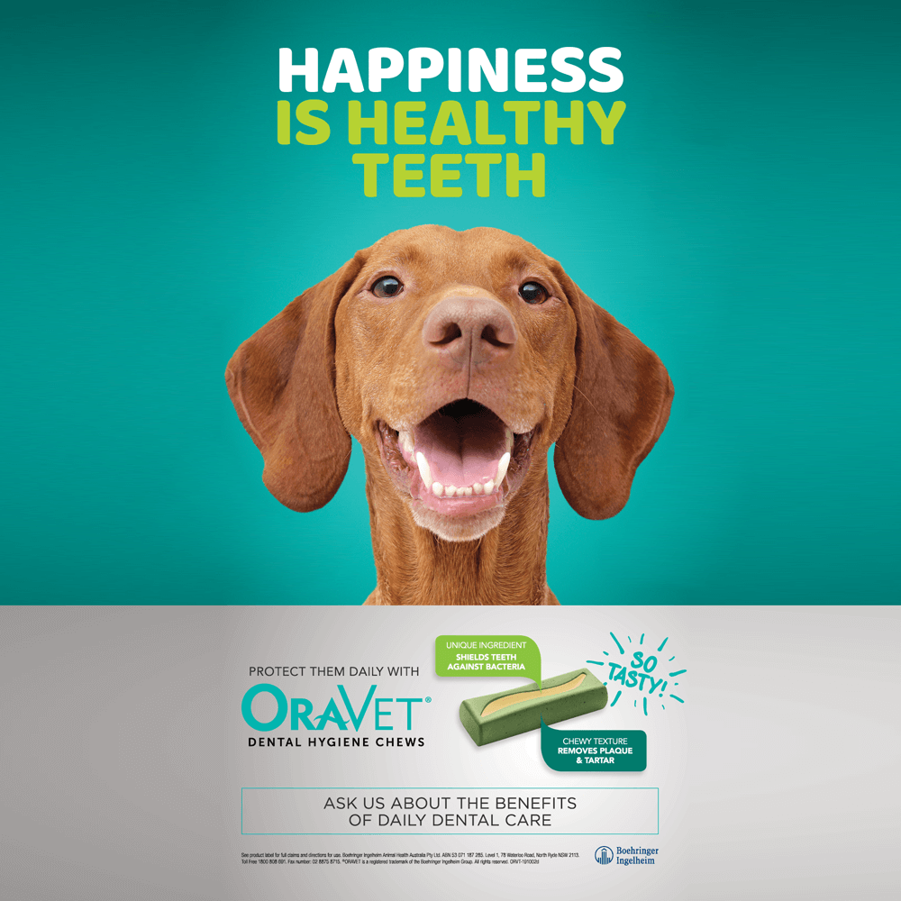 Dental Hygiene Chews for Medium Dogs