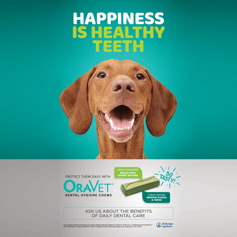 Dental Hygiene Chews for Medium Dogs