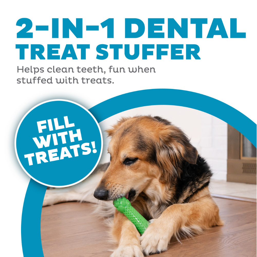 Outward Hound Dental Asparagus Dog Chew Toy