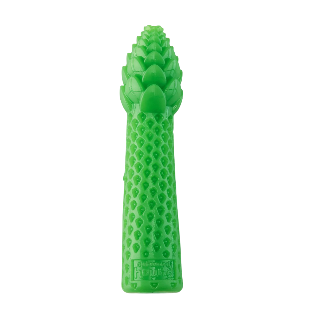 Outward Hound Dental Asparagus Dog Chew Toy