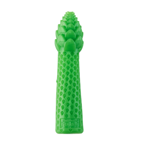 Outward Hound Dental Asparagus Dog Chew Toy