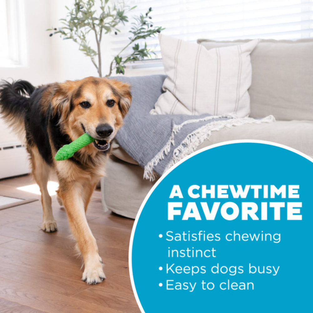 Outward Hound Dental Asparagus Dog Chew Toy