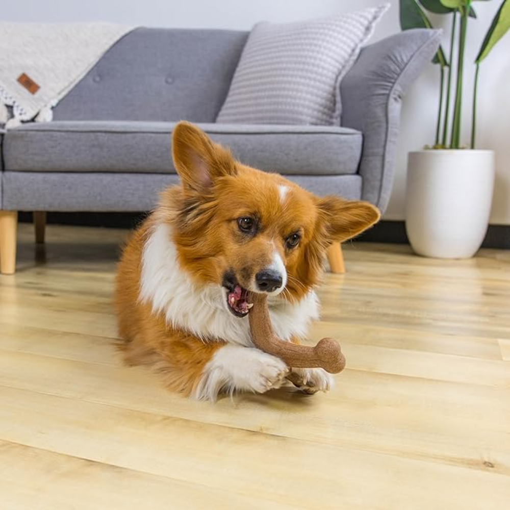 Outward Hound Dogwood Jack Dog Chew Toy