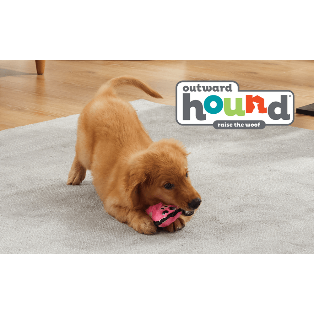 Durablez Pig Plush Dog Toy