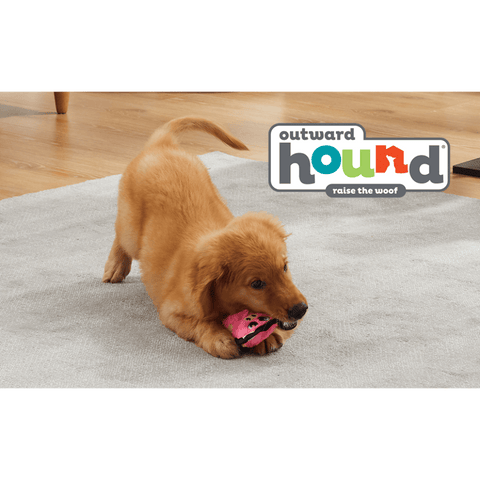 Durablez Pig Plush Dog Toy