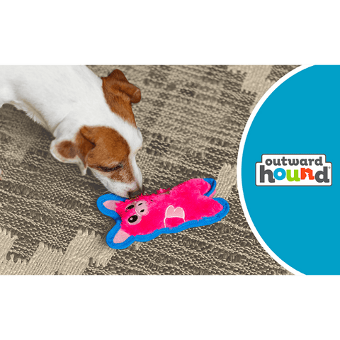 Durablez Pig Plush Dog Toy