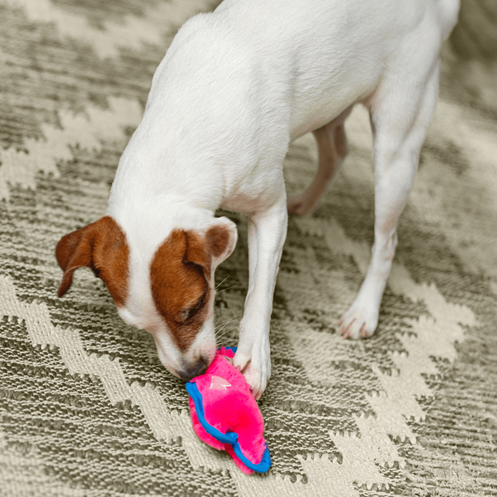 Durablez Pig Plush Dog Toy