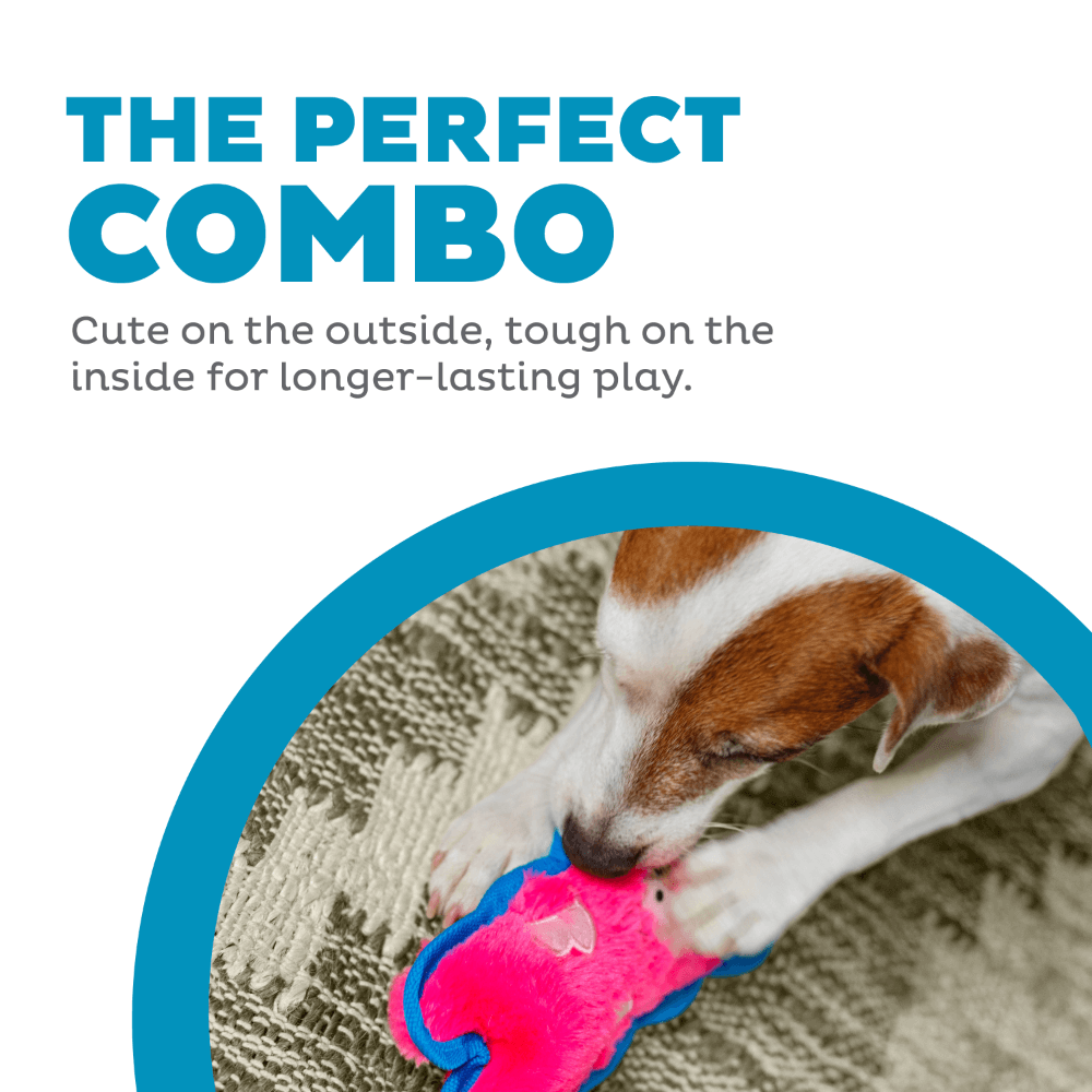 Durablez Pig Plush Dog Toy