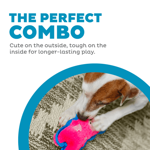 Durablez Pig Plush Dog Toy