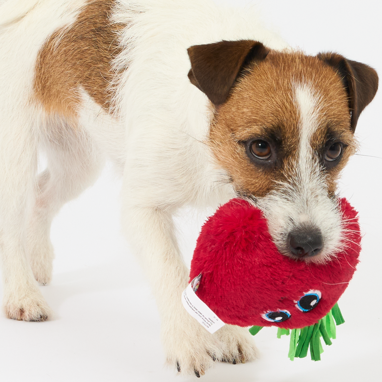 Fetchtables Dog Toy Beet Red