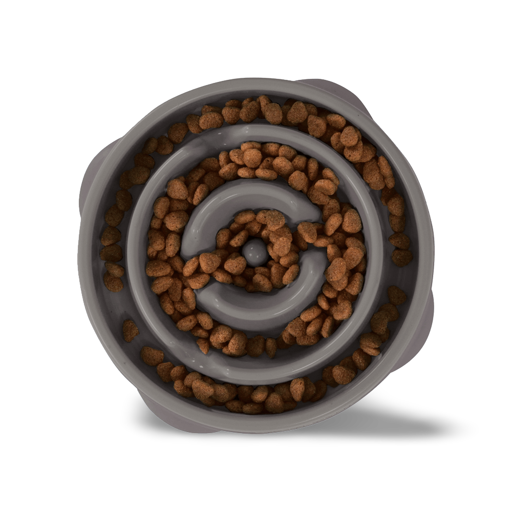 Fun Feeder Slo Bowl Grey