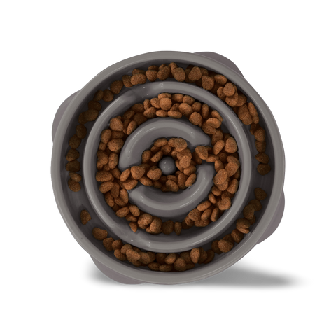 Fun Feeder Slo Bowl Grey