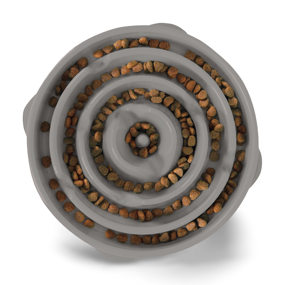 Fun Feeder Slo Bowl Grey