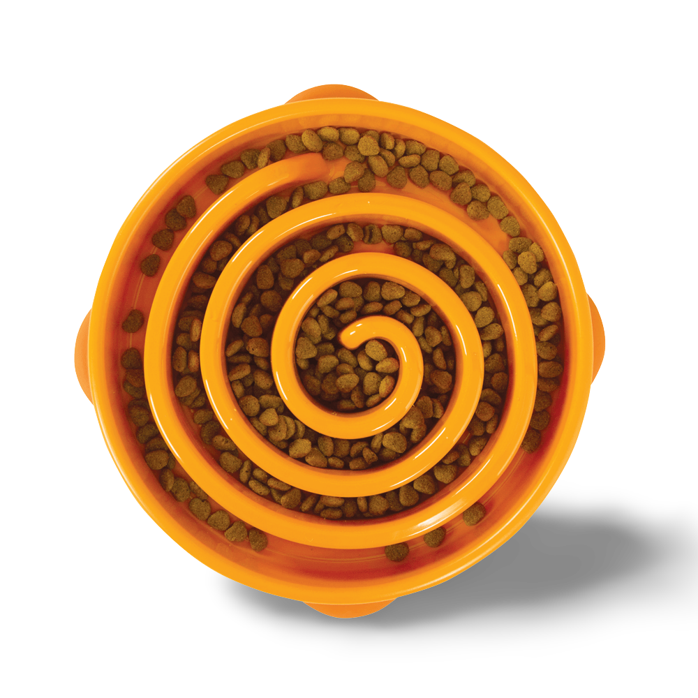 Fun Feeder Slo Bowl Orange