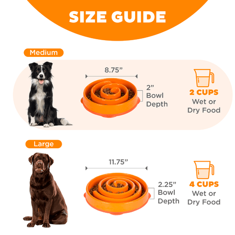 Fun Feeder Slo Bowl Orange