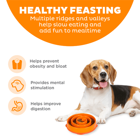 Fun Feeder Slo Bowl Orange