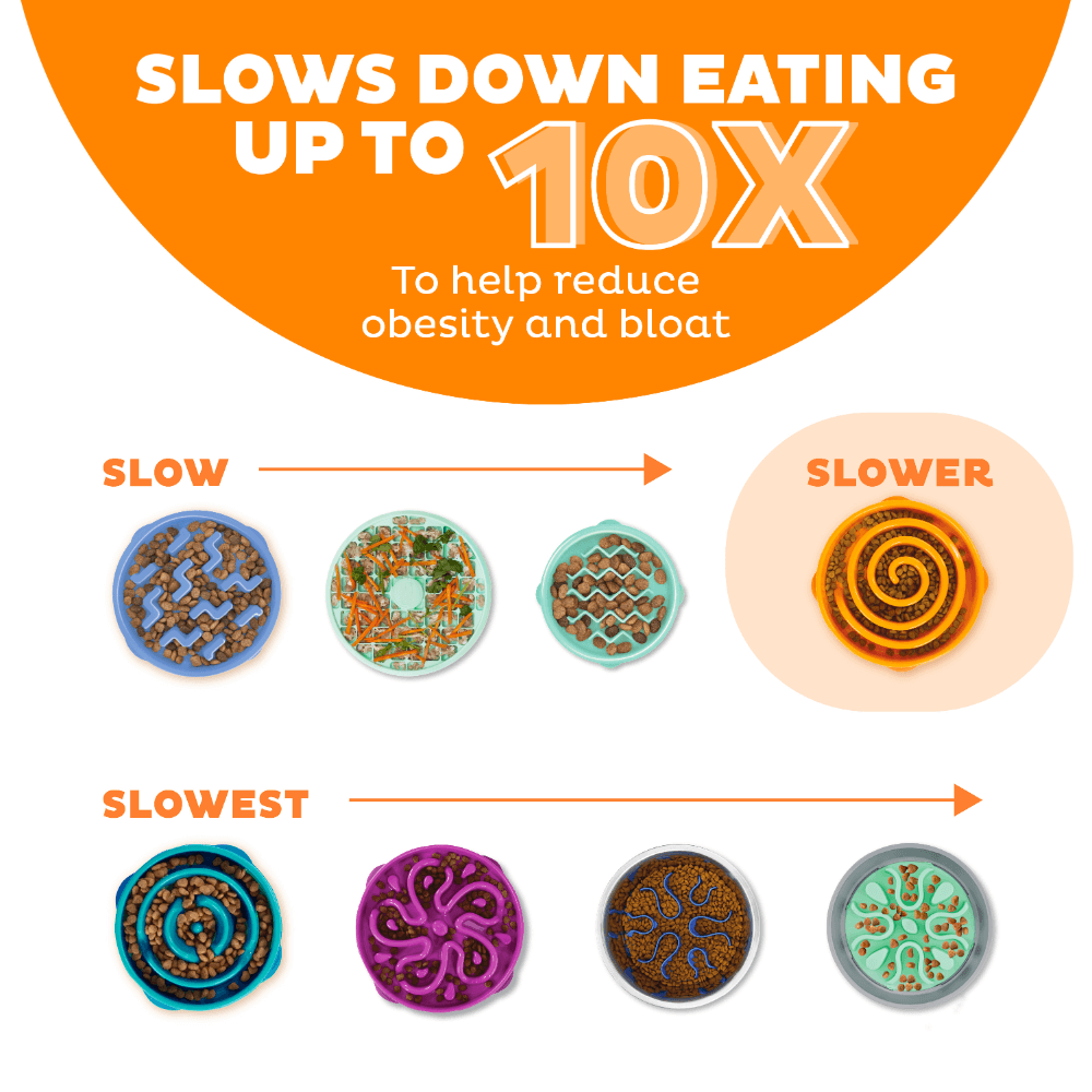 Fun Feeder Slo Bowl Orange