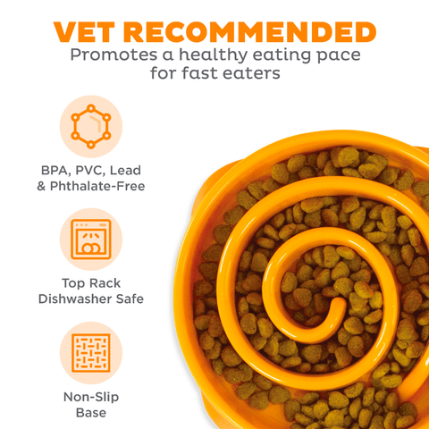 Fun Feeder Slo Bowl Orange