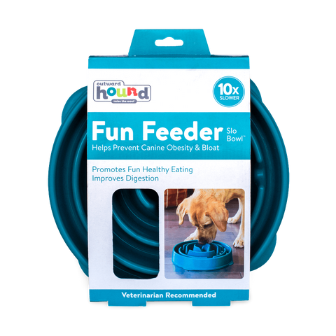 Fun Feeder Slow Feed Dog Bowl Teal