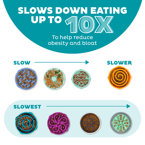 Fun Feeder Slow Feed Dog Bowl Teal