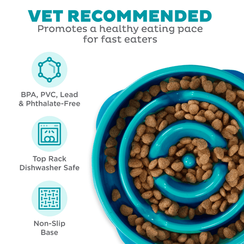 Fun Feeder Slow Feed Dog Bowl Teal
