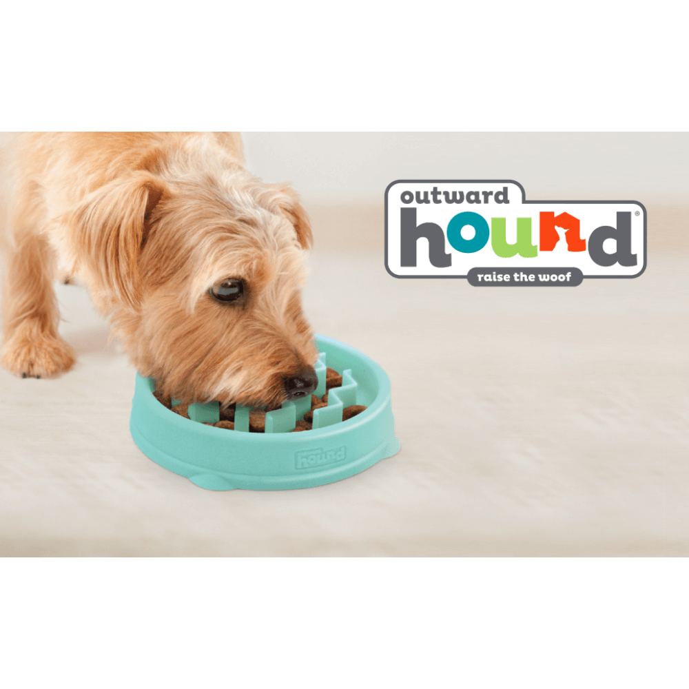Fun Feeder Wave Slow Feeder Dog Toy Mint
