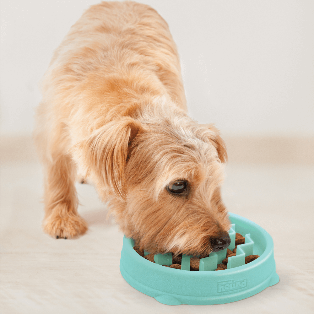 Fun Feeder Wave Slow Feeder Dog Toy Mint