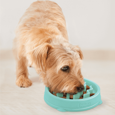 Fun Feeder Wave Slow Feeder Dog Toy Mint