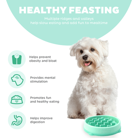 Fun Feeder Wave Slow Feeder Dog Toy Mint