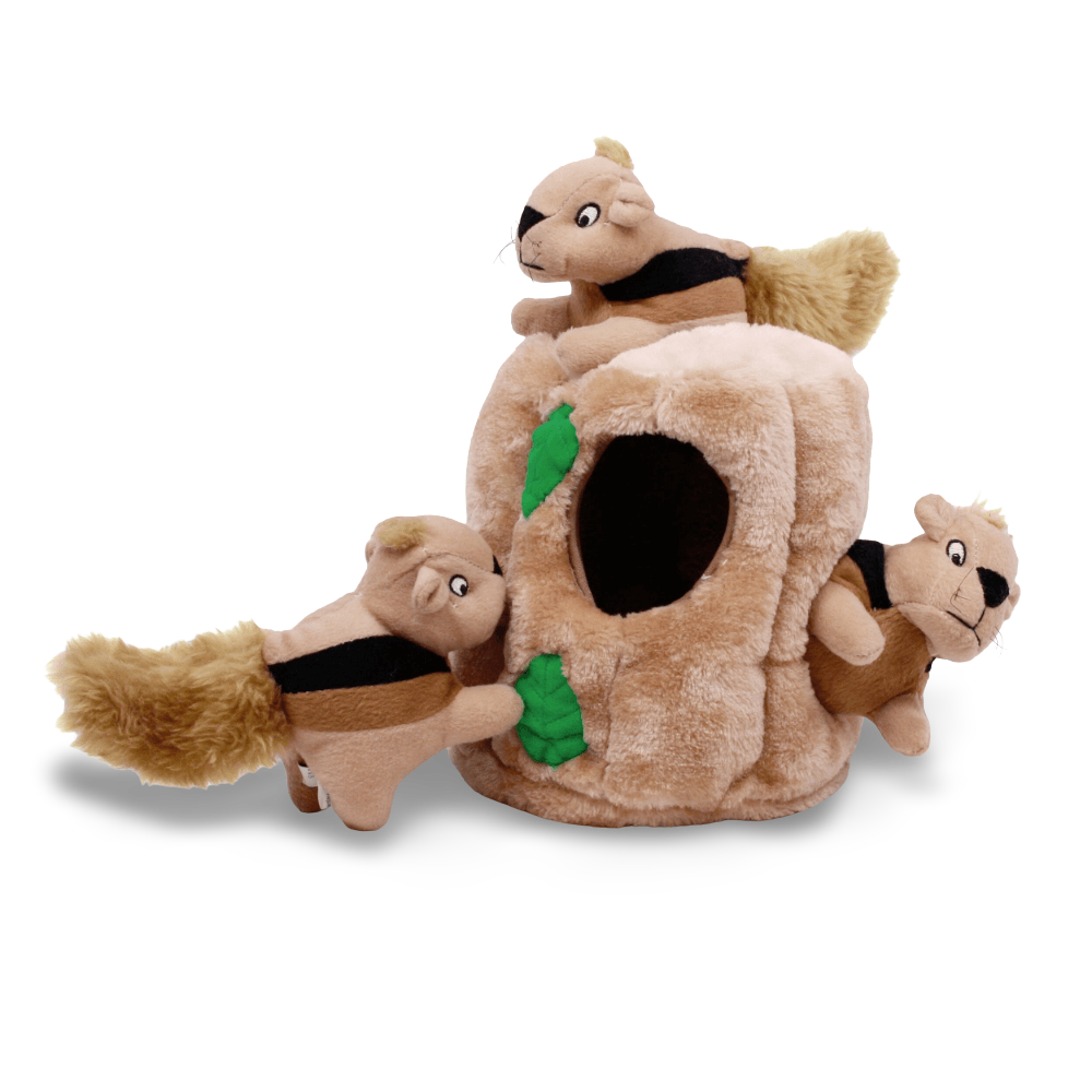 Hide A Squirrel Large Interactive Dog Toy