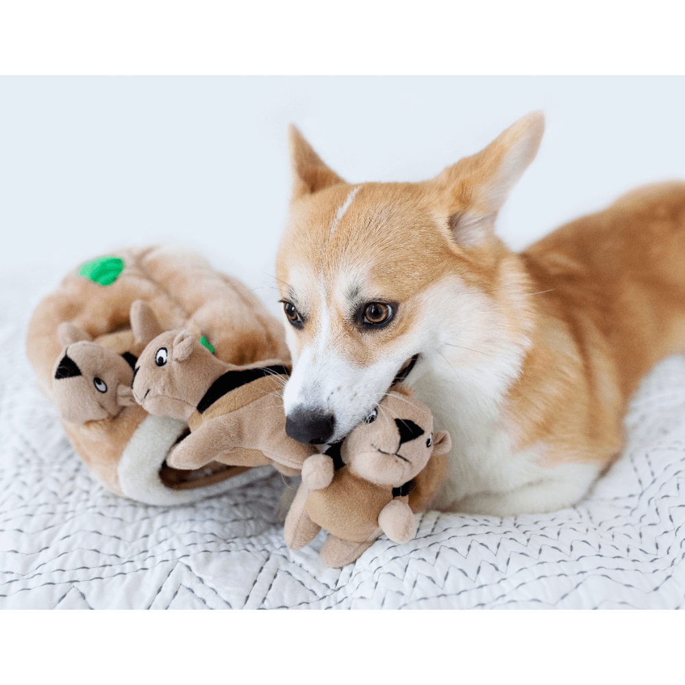 Hide A Squirrel Large Interactive Dog Toy