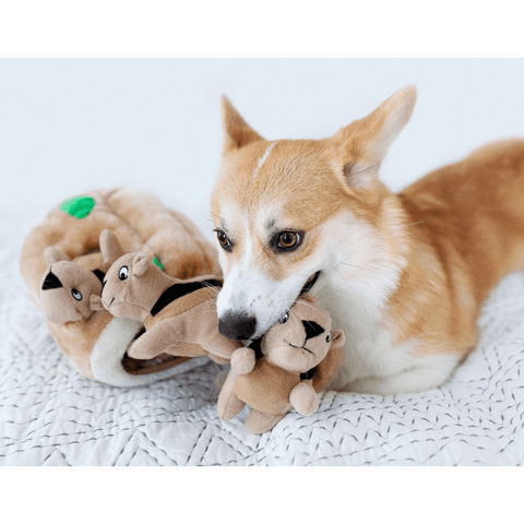 Hide A Squirrel Large Interactive Dog Toy