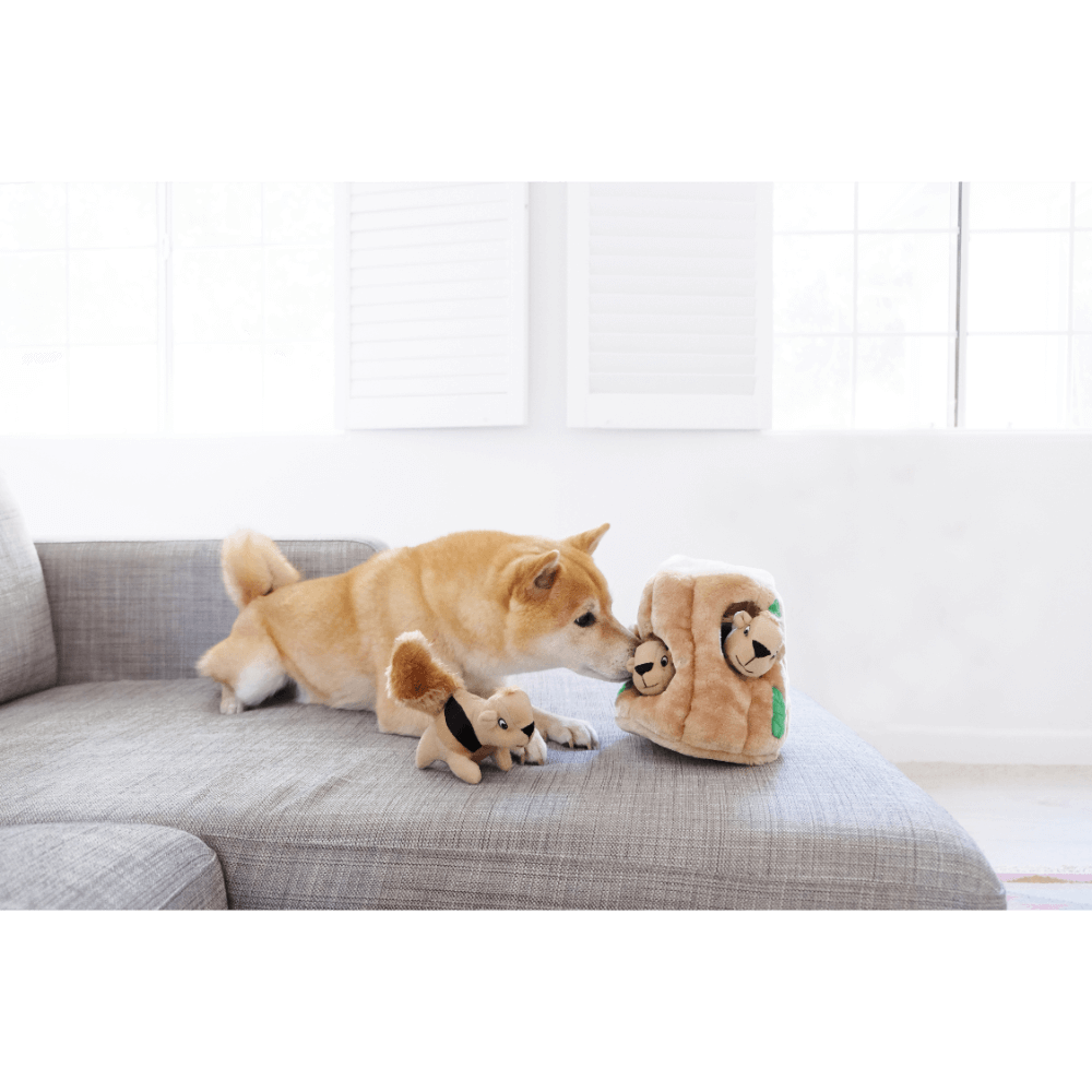 Hide A Squirrel Large Interactive Dog Toy