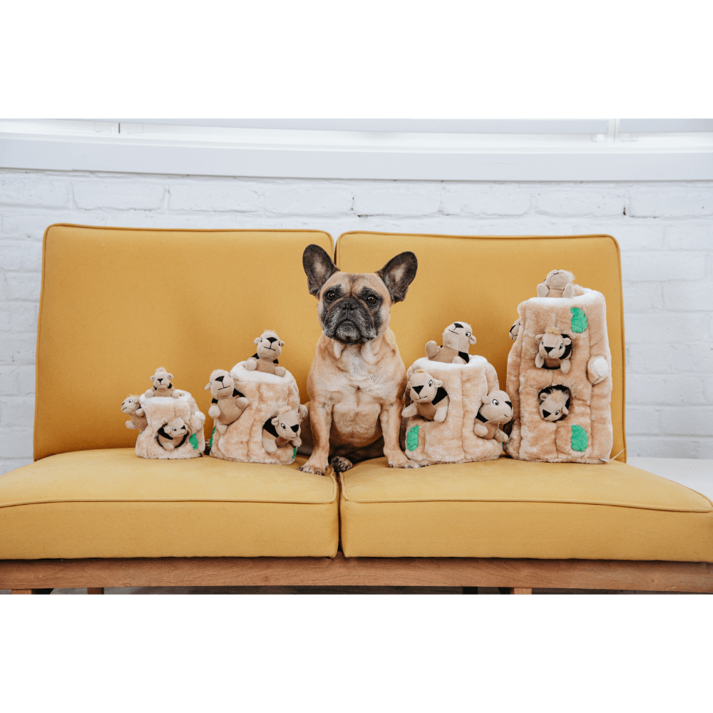 Hide A Squirrel Large Interactive Dog Toy