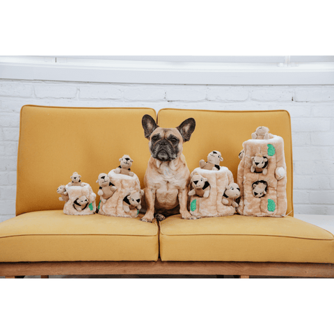 Hide A Squirrel Large Interactive Dog Toy