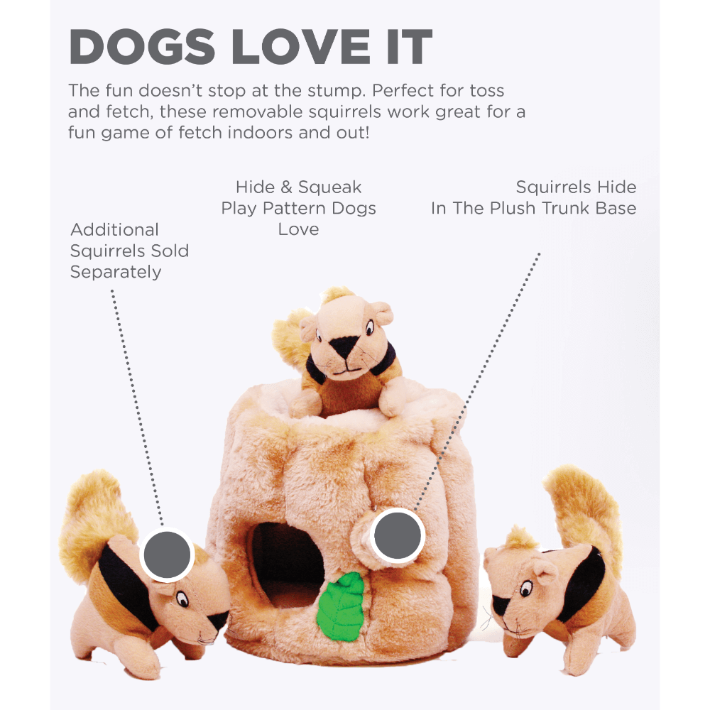 Hide A Squirrel Large Interactive Dog Toy