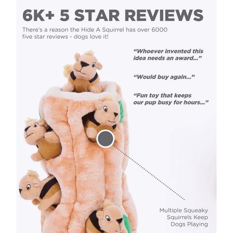 Hide A Squirrel Large Interactive Dog Toy