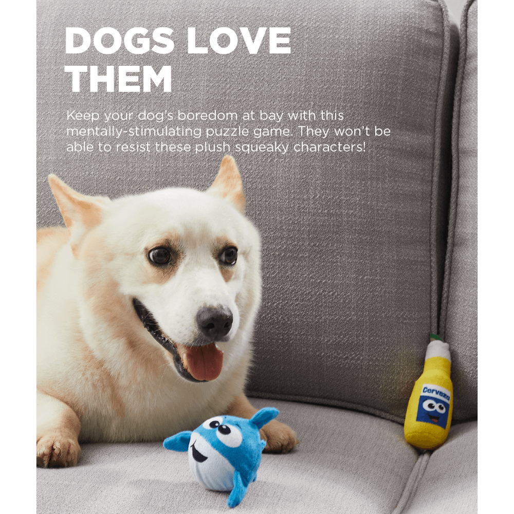 Hide A Surf Van Dog Toy